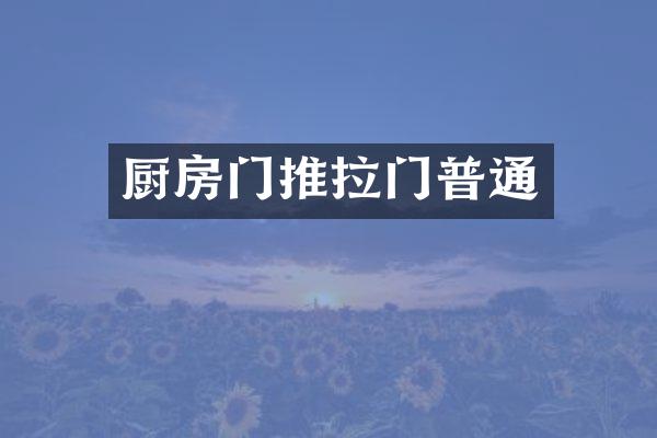 厨房门推拉门普通