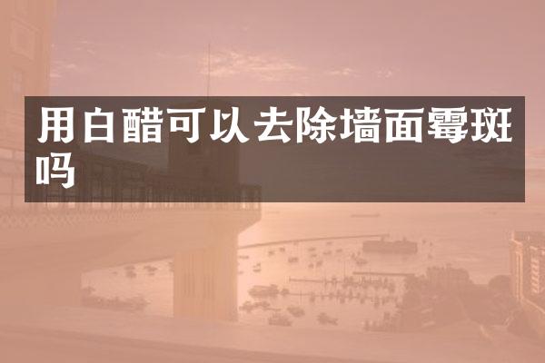 用白醋可以去除墙面霉斑吗