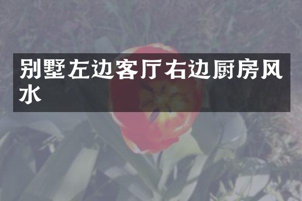 别墅左边客厅右边厨房风水