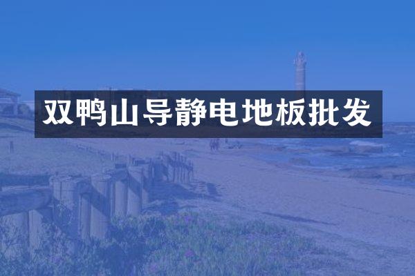 双鸭山导静电地板批发