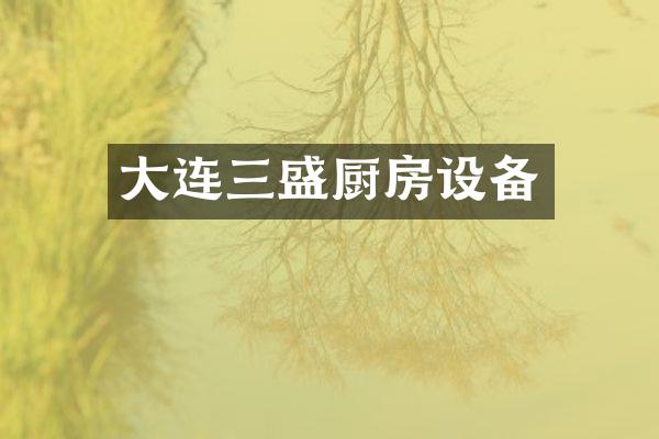大连三盛厨房设备