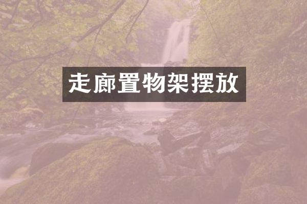 走廊置物架摆放