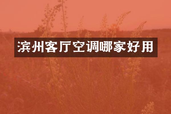 滨州客厅空调哪家好用