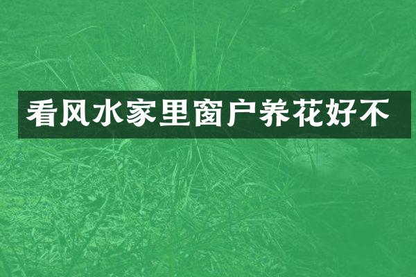 看风水家里窗户养花好不