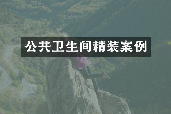 公共卫生间精装案例
