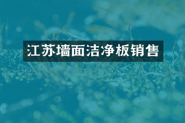 江苏墙面洁净板销售