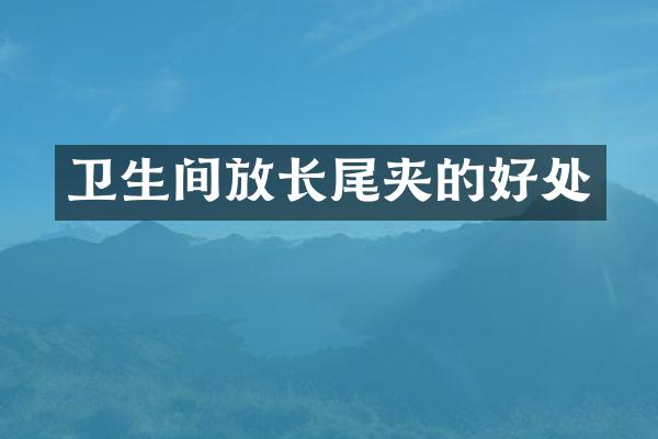 卫生间放长尾夹的好处