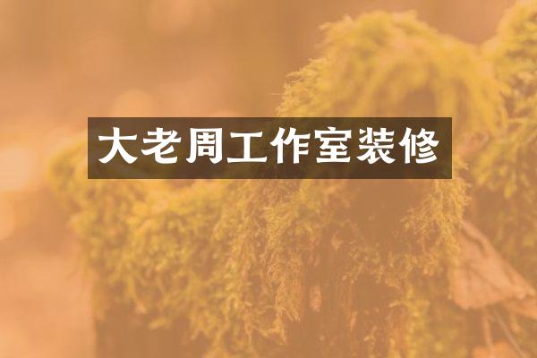 大老周工作室装修
