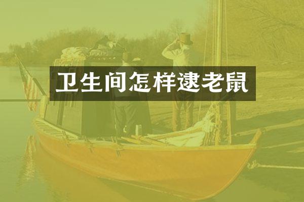 卫生间怎样逮老鼠