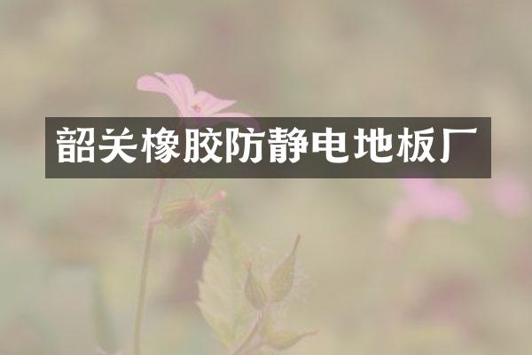 韶关橡胶防静电地板厂