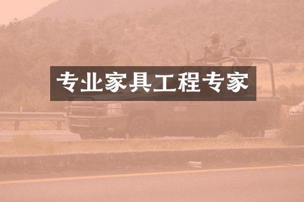 专业家具工程专家