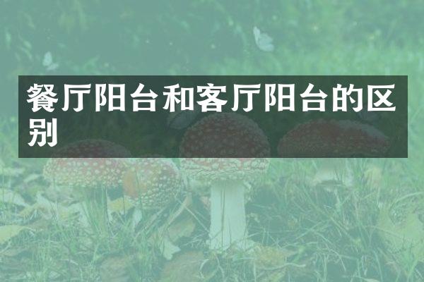 餐厅阳台和客厅阳台的区别
