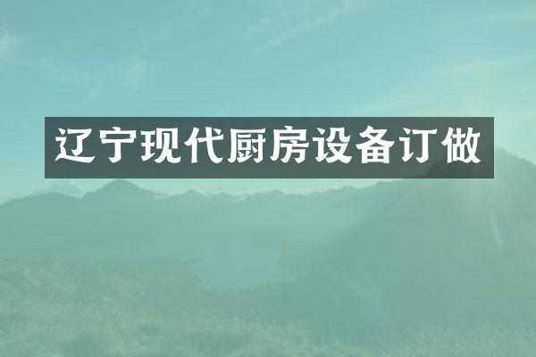 辽宁现代厨房设备订做