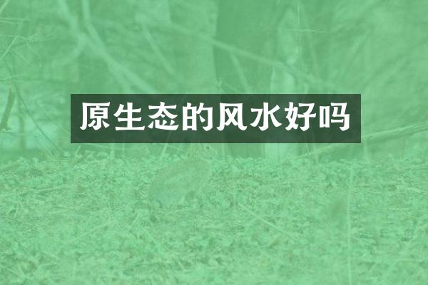 原生态的风水好吗