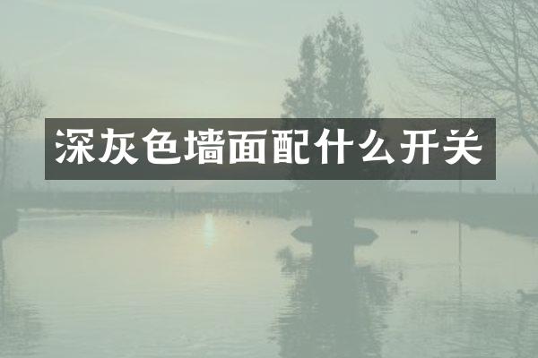 深灰色墙面配什么开关