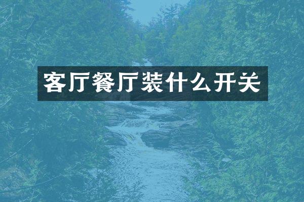 客厅餐厅装什么开关