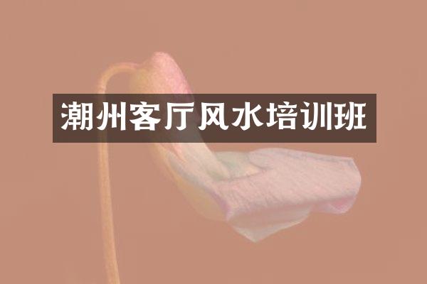 潮州客厅风水培训班