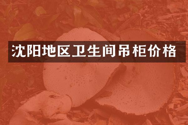 沈阳地区卫生间吊柜价格