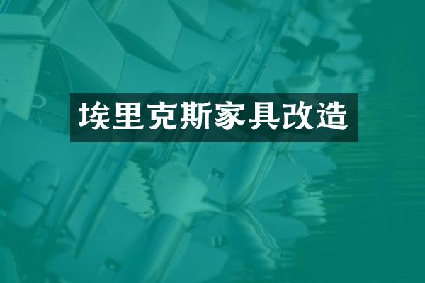 埃里克斯家具改造