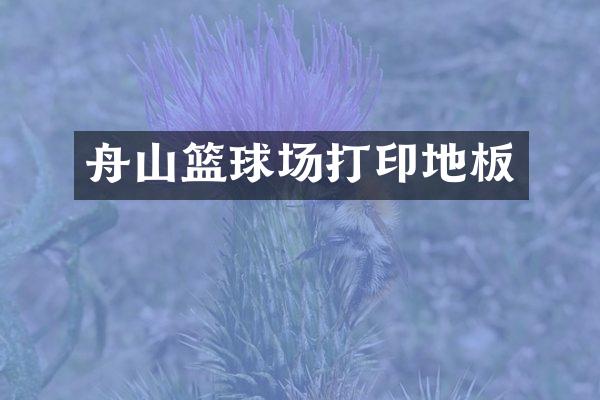 舟山篮球场打印地板