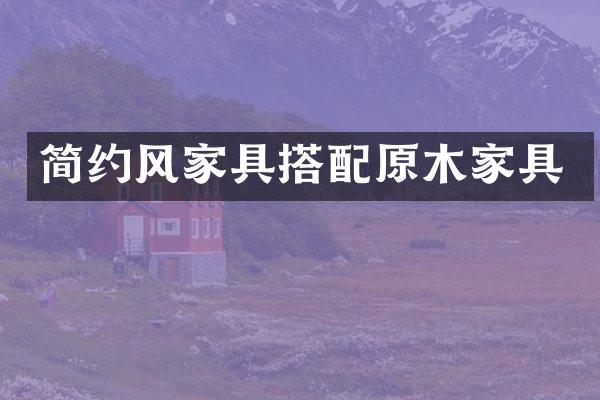 简约风家具搭配原木家具