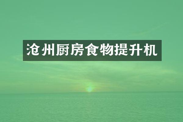 沧州厨房食物提升机