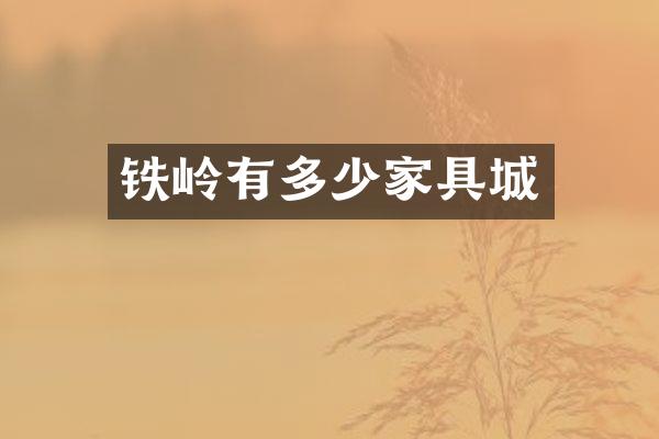 铁岭有多少家具城