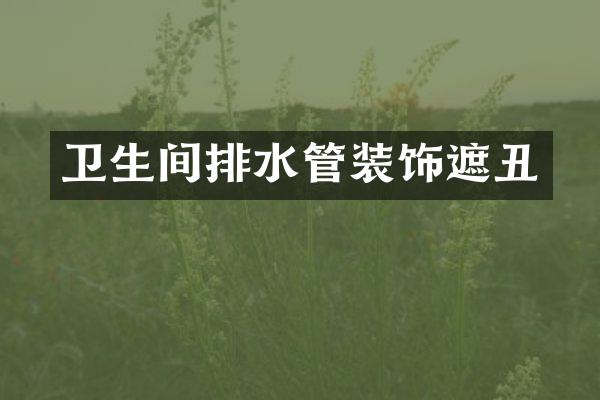 卫生间排水管装饰遮丑