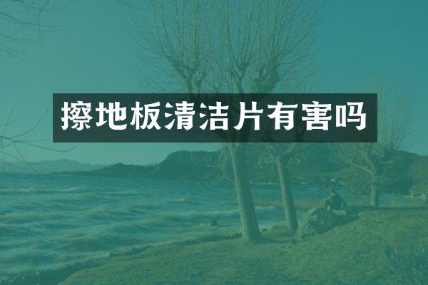 擦地板清洁片有害吗