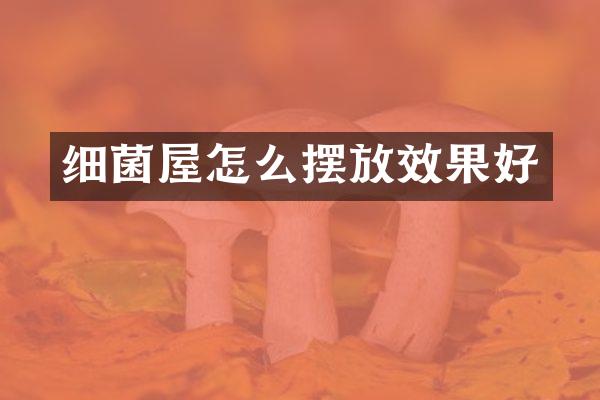 细菌屋怎么摆放效果好