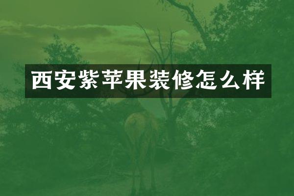 西安紫苹果装修怎么样