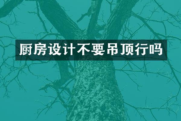 厨房设计不要吊顶行吗