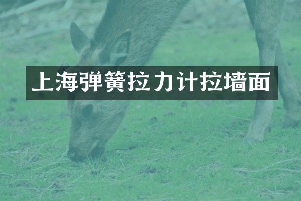 上海弹簧拉力计拉墙面