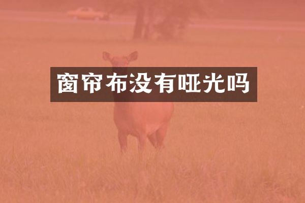 窗帘布没有哑光吗