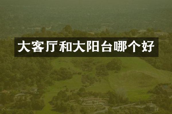 大客厅和大阳台哪个好