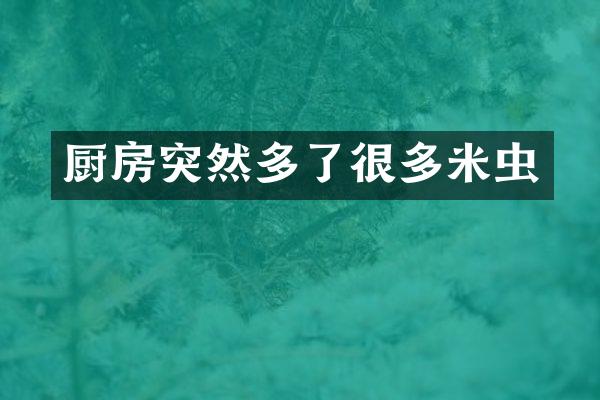 厨房突然多了很多米虫