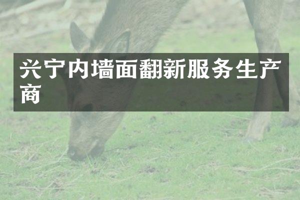 兴宁内墙面翻新服务生产商