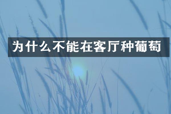 为什么不能在客厅种葡萄