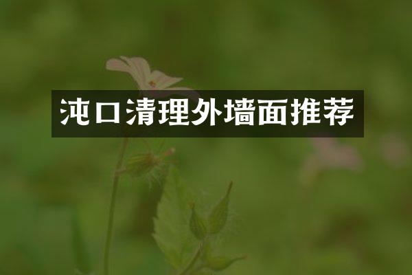 沌口清理外墙面推荐