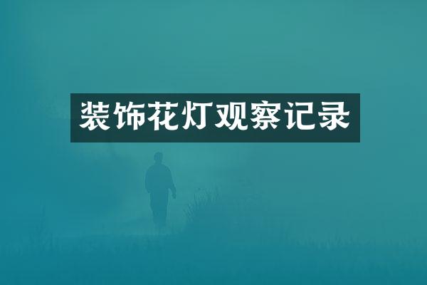 装饰花灯观察记录