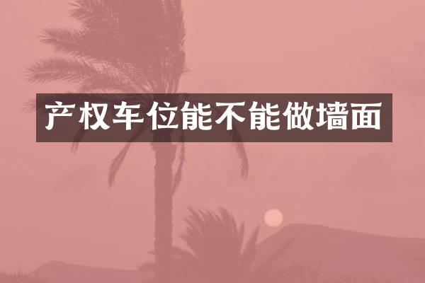 产权车位能不能做墙面
