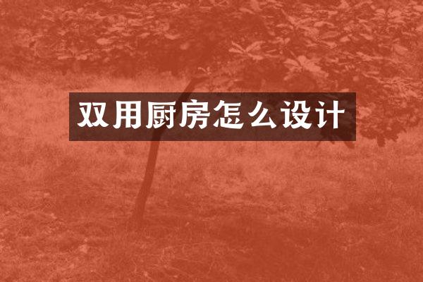 双用厨房怎么设计