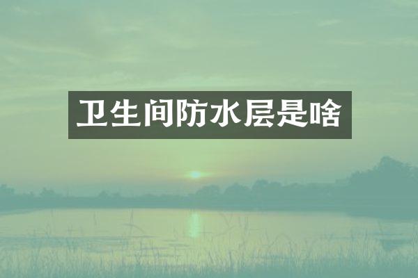 卫生间防水层是啥