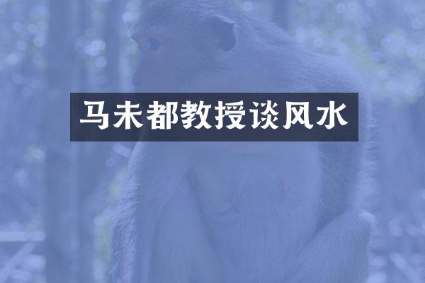 马未都教授谈风水