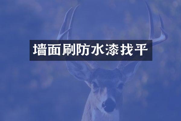 墙面刷防水漆找平