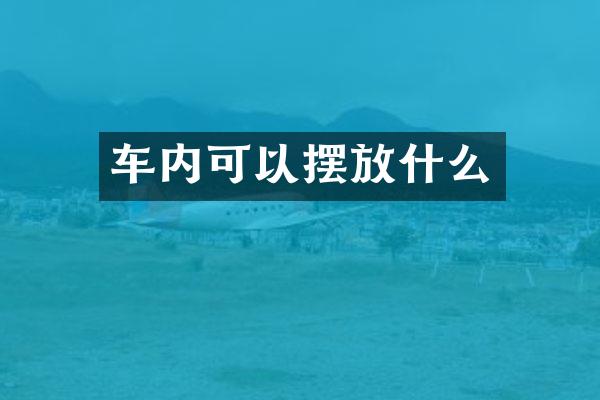 车内可以摆放什么