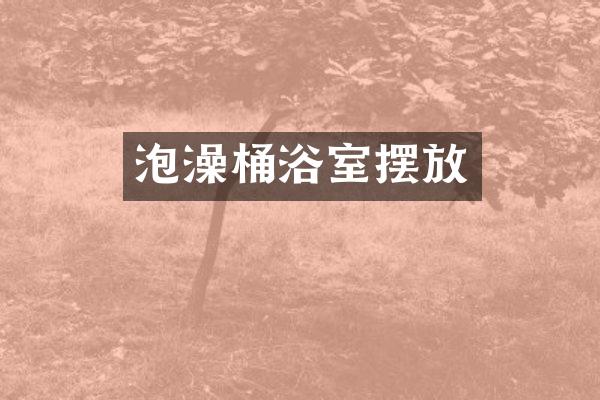 泡澡桶浴室摆放