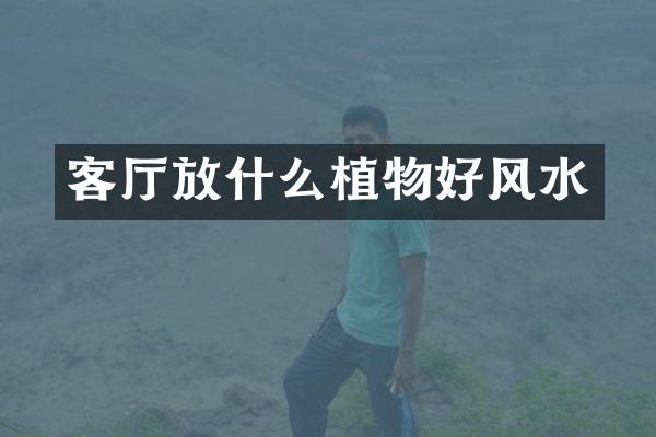 客厅放什么植物好风水
