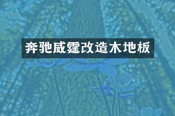奔驰威霆改造木地板