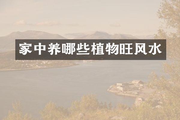 家中养哪些植物旺风水
